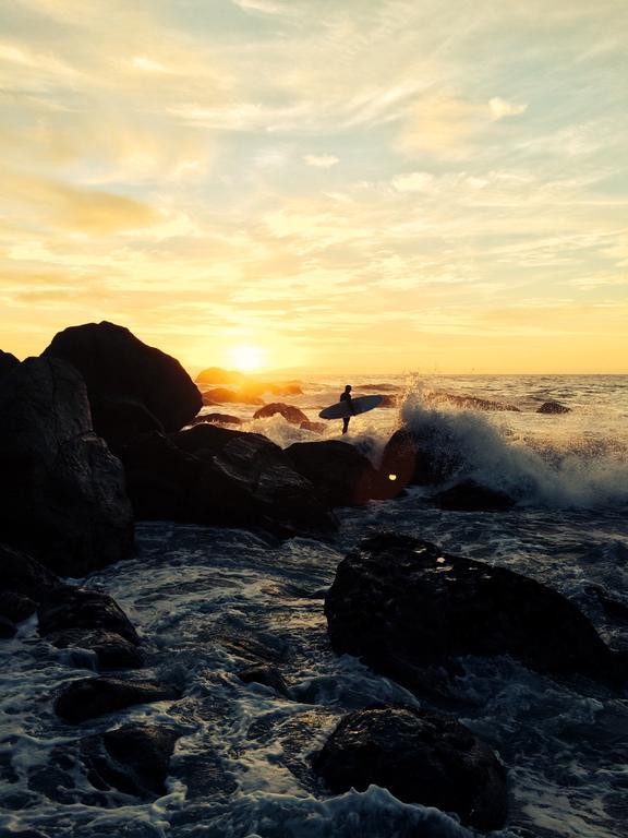 Bazil'S Backpackers Bbh Hostel & Surf School Westport Rum bild